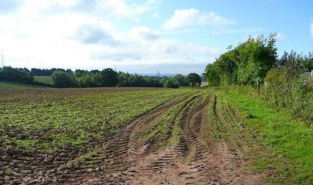 Footpath on the field edge Looking south towards Little Peterstow Farm from the B4521 near St. Owen's Cross.