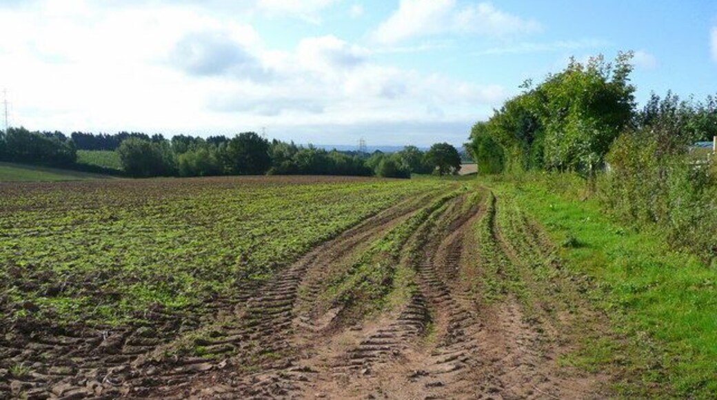 Footpath on the field edge Looking south towards Little Peterstow Farm from the B4521 near St. Owen's Cross.