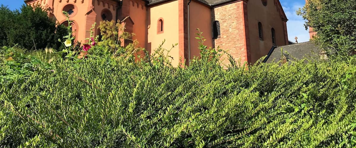 The Basilica of Seligenstadt