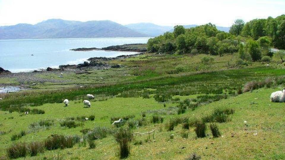 Shoreline. Part of the western shore of Loch na Dal.