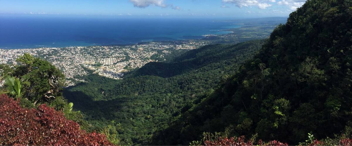 VIEWS
#WinterWonders