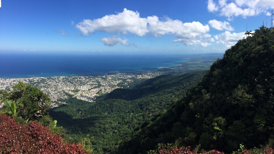 VIEWS
#WinterWonders