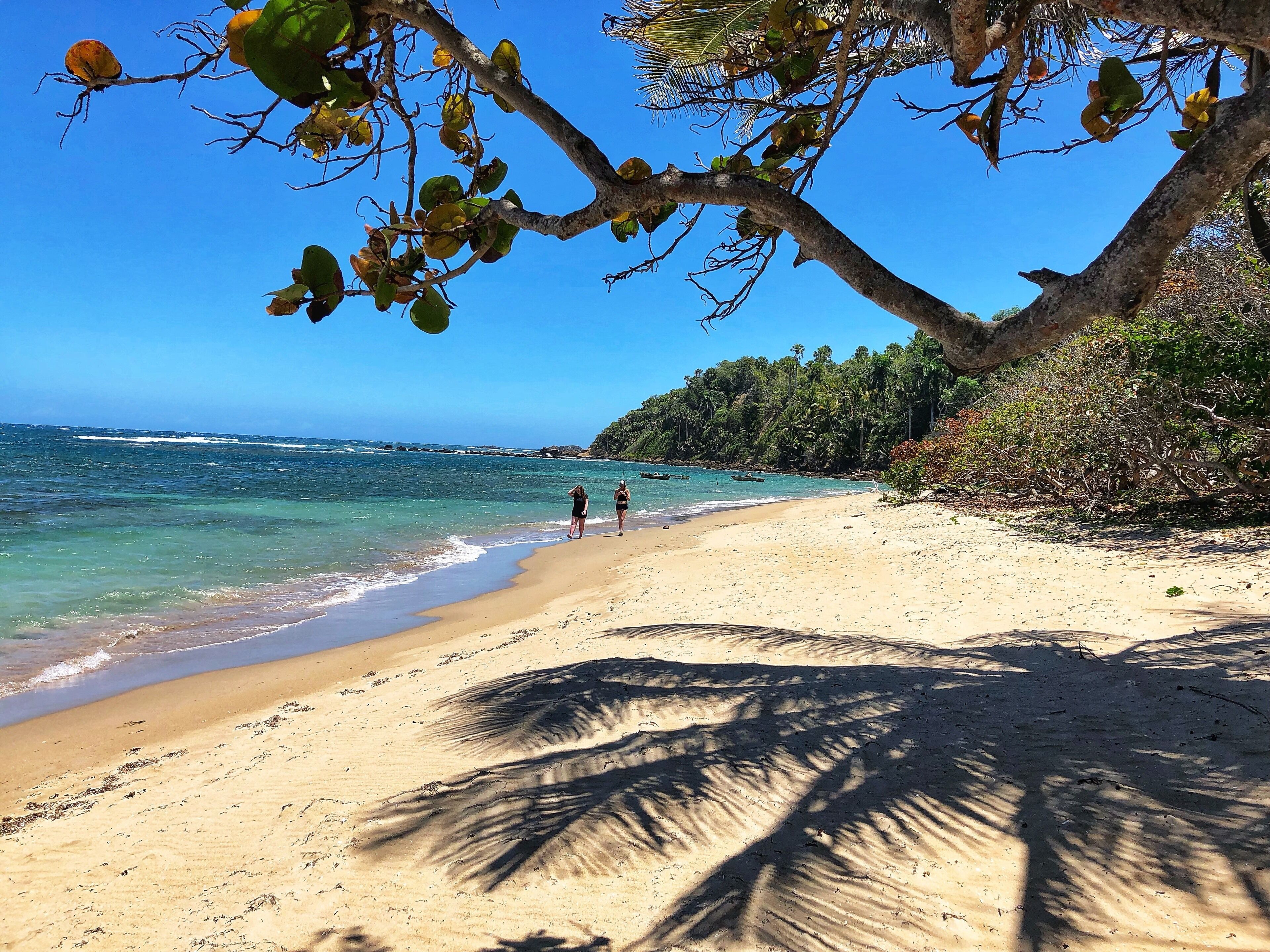 A sandy beach with clear blue water, palm trees, and a rocky shoreline.
