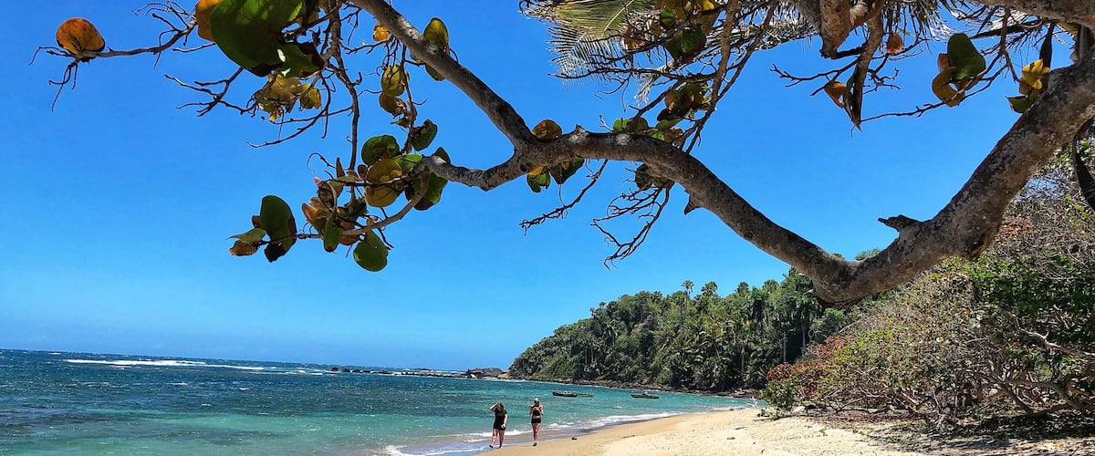 A sandy beach with clear blue water, palm trees, and a rocky shoreline.