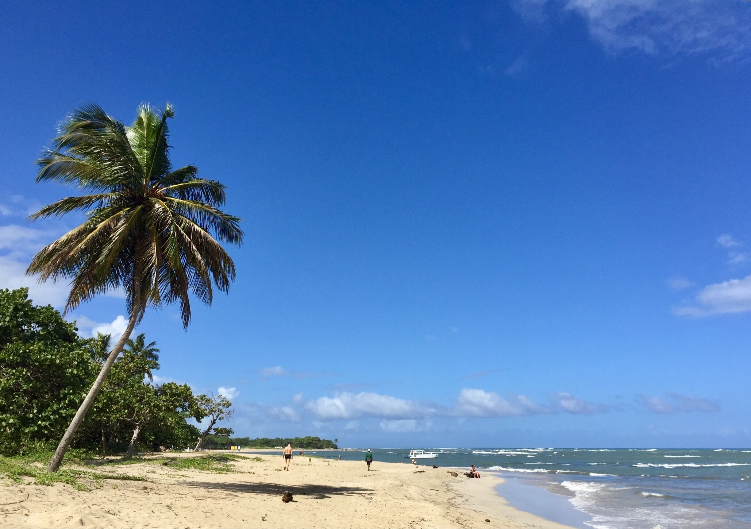 The beach 🌊 in Puerto Plata 🇩🇴🇩🇴🇩🇴😍😍😍