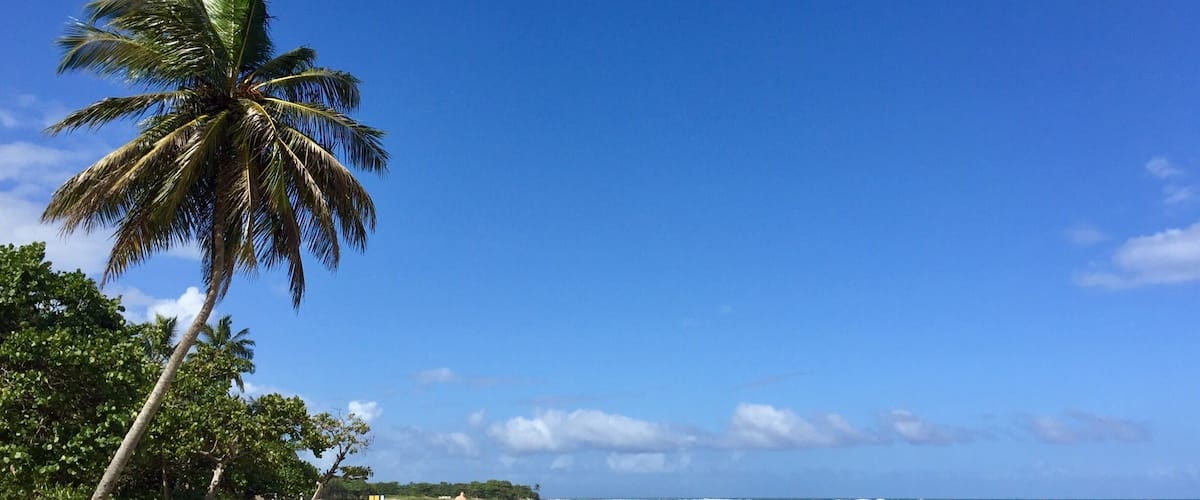 The beach ๐ in Puerto Plata ๐ฉ๐ด๐ฉ๐ด๐ฉ๐ด๐๐๐