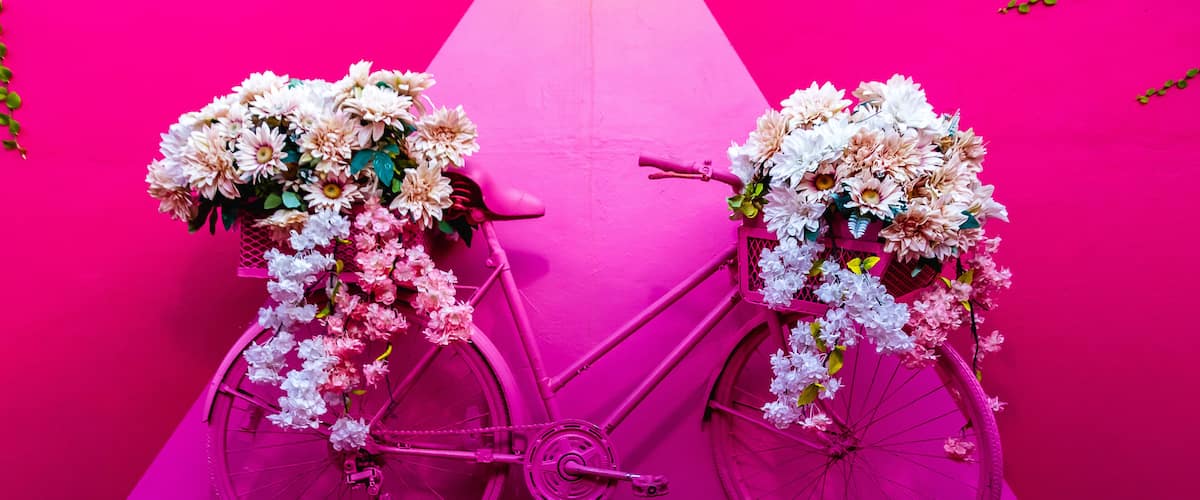 A pink bicycle with floral decorations against a pink background.