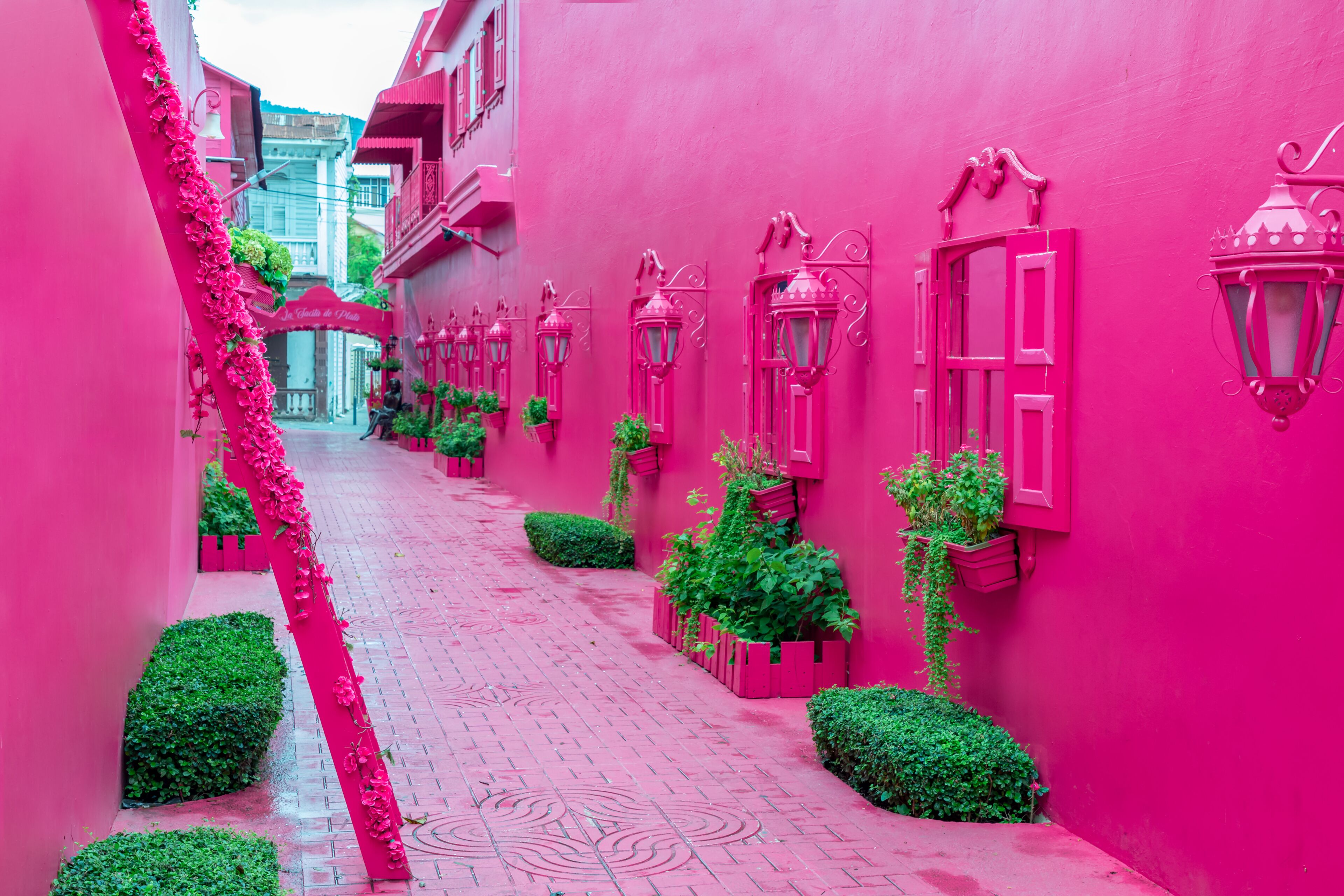 Um beco rosa, ladeado por arbustos verdes e lanternas cor-de-rosa.