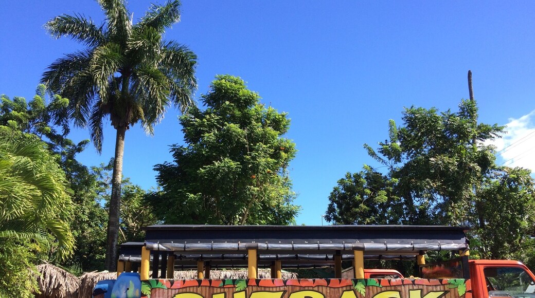 Outback is a fun adventurous excursion offered by Sunscape resort