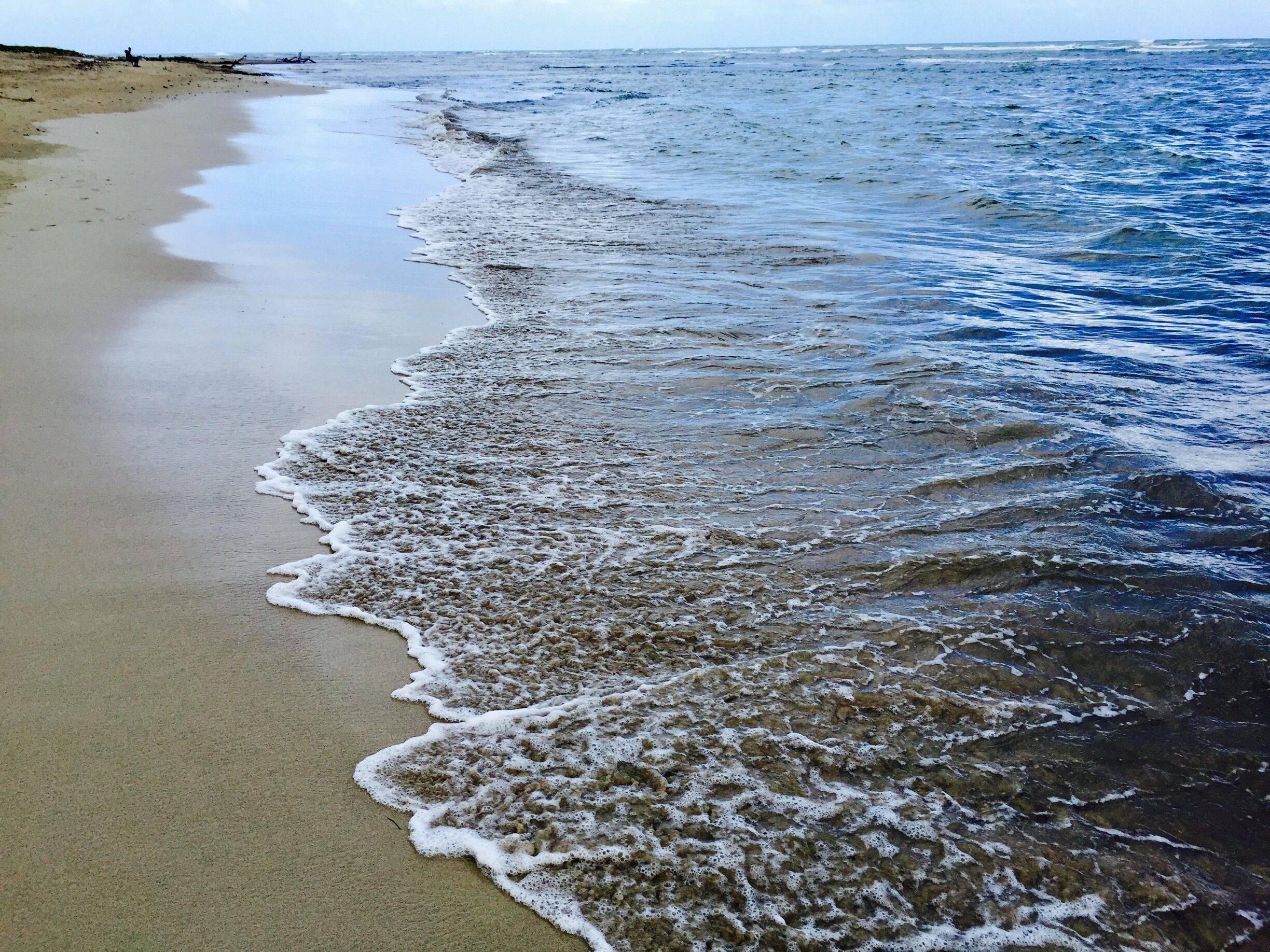 Beautiful afternoon at the beach 🇩🇴🇩🇴🇩🇴😍😍😍