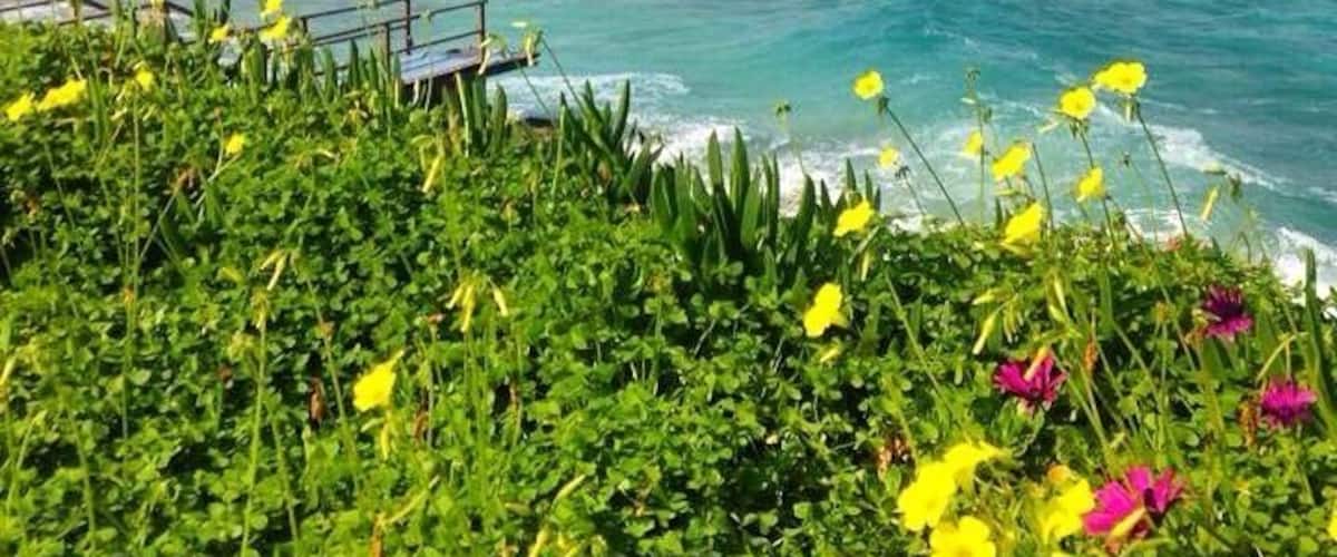 Fig tree is one of the most popular beaches on the island and is rammed with tourists in season. Come out of season to get it to yourself!
