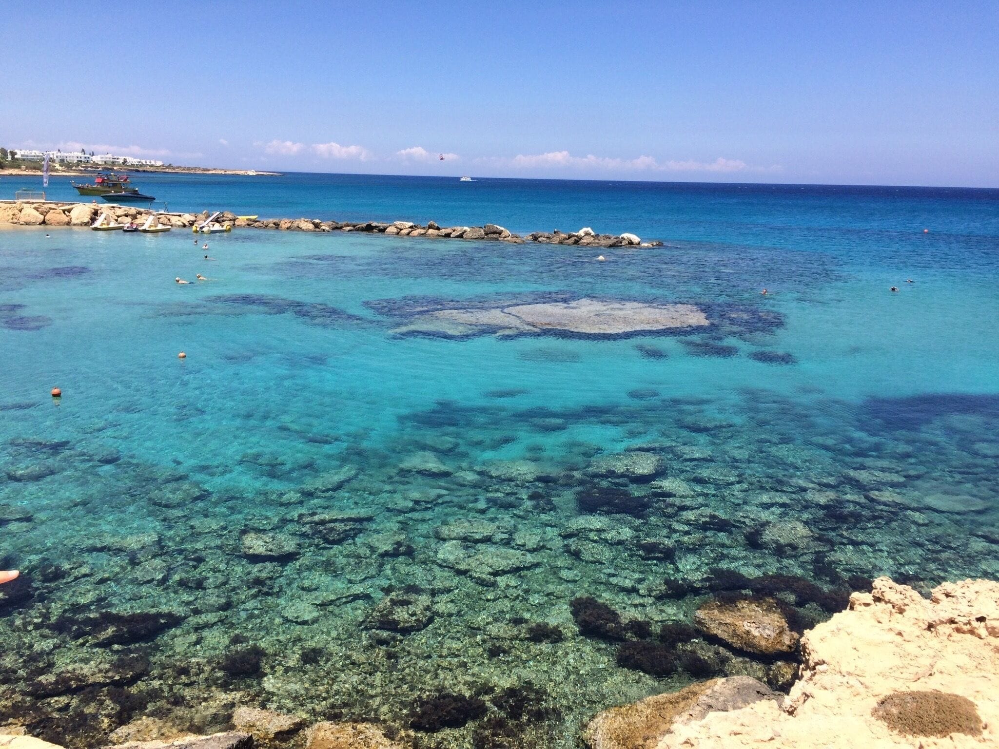 Green Bay, Protaras, Cyprus. Lizards to be found on the rocks.