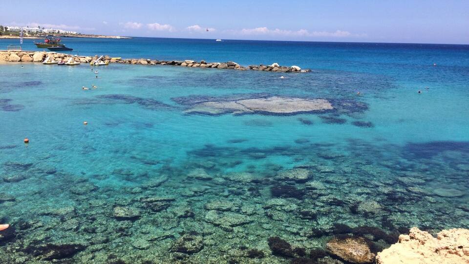 Green Bay, Protaras, Cyprus. Lizards to be found on the rocks.