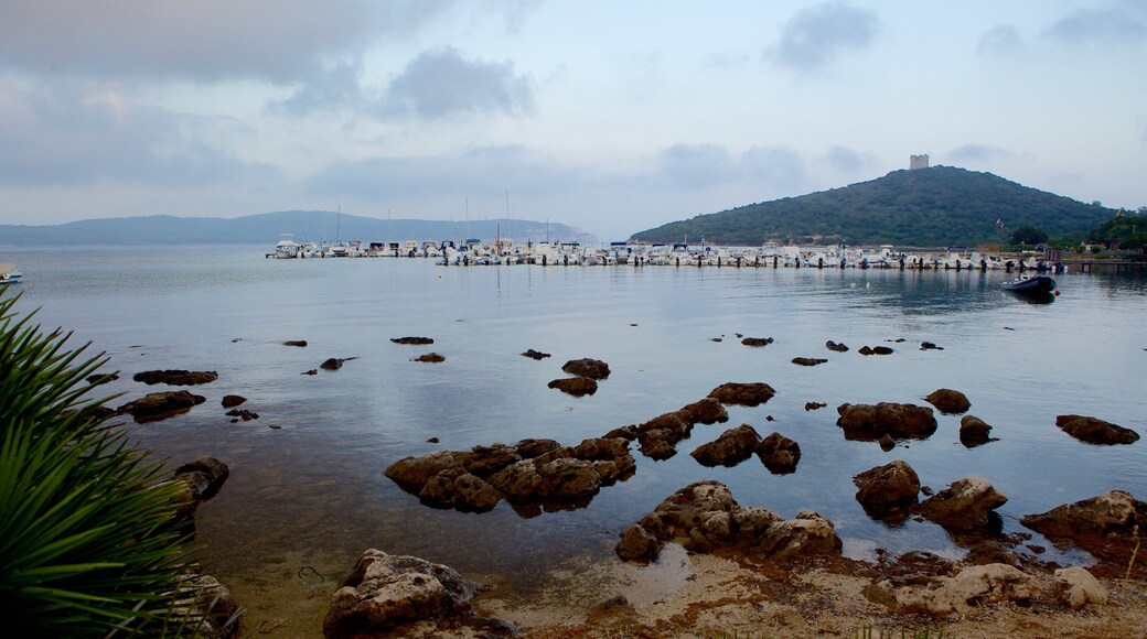Capo Caccia featuring rocky coastline