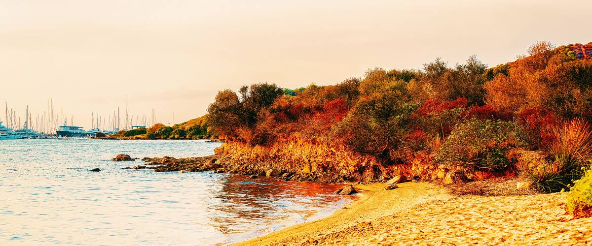 A beach with golden sand, a rocky shoreline, and autumn-colored trees.