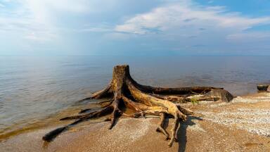 White clouds in the blue sky over the lake. Atmospheric natural background.