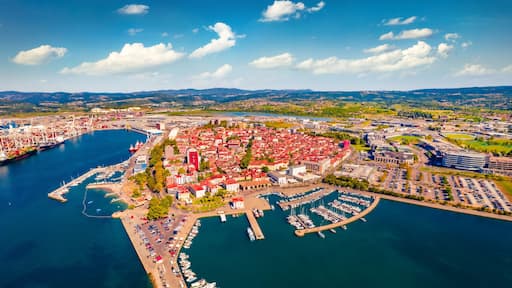 Koper