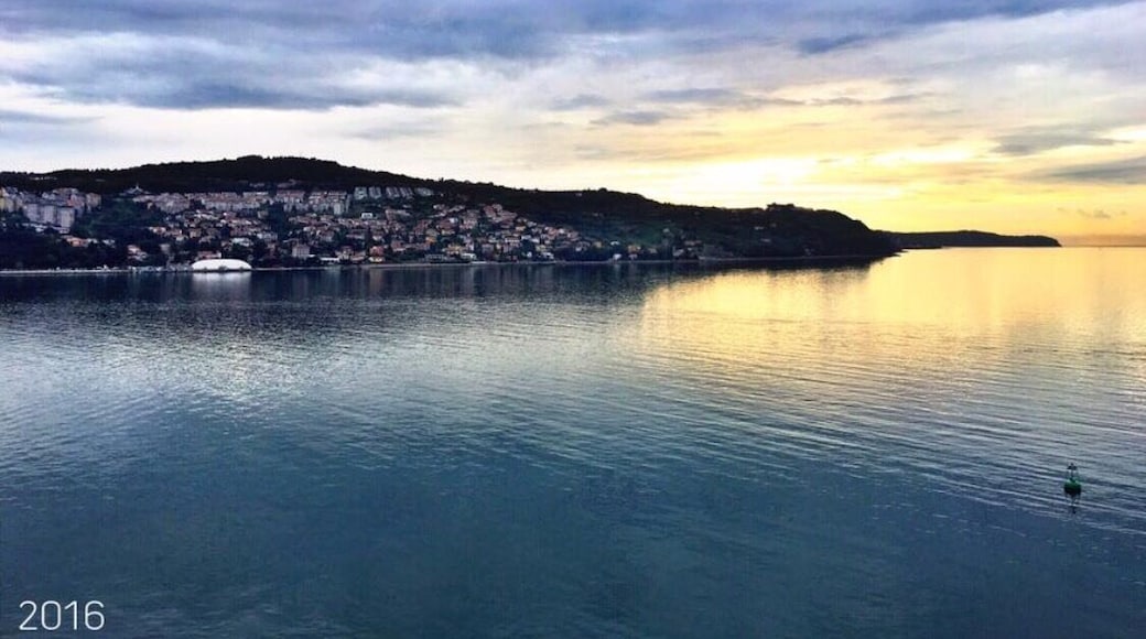 Golden Sunset & its reflection over Adriatic Sea....and the attractive old town that was found since middle bronze age, Koper.
#koper #sunset