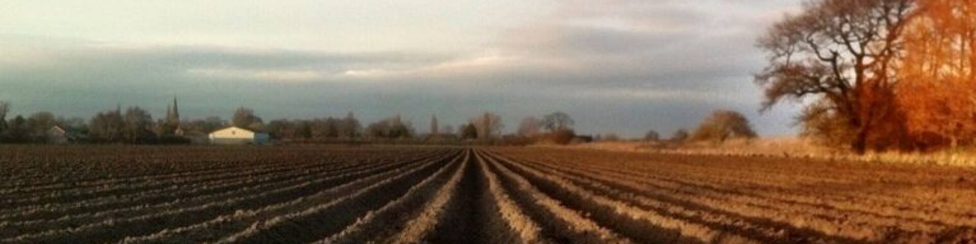 Lincolnshire .... @trover #trover