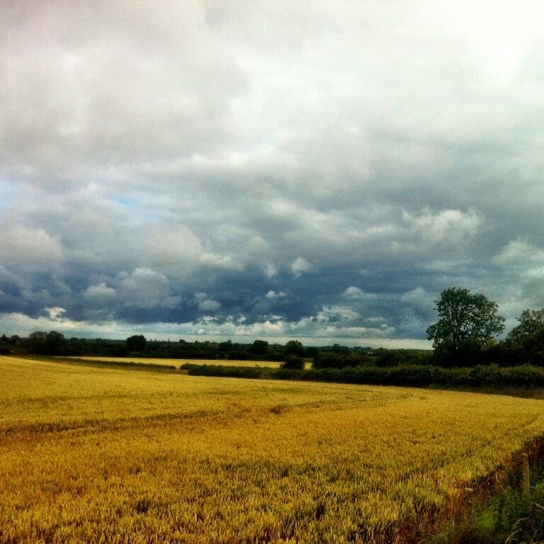 We are having an incredibly wet 2012 here in the UK it's rained every day since April 5th ! All we ever see are storm clouds ! Bring on the summer !! 