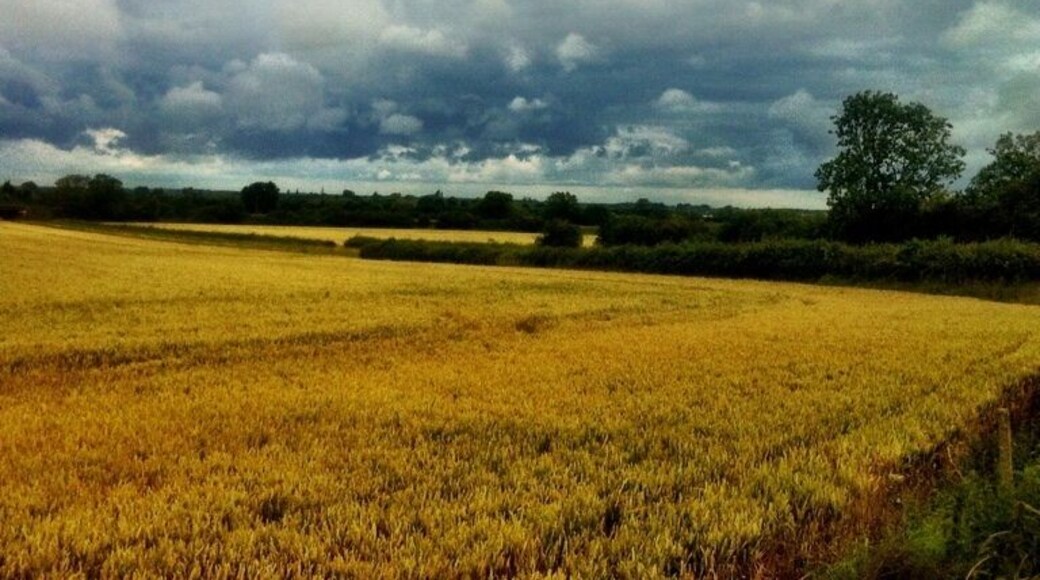 We are having an incredibly wet 2012 here in the UK it's rained every day since April 5th ! All we ever see are storm clouds ! Bring on the summer !!