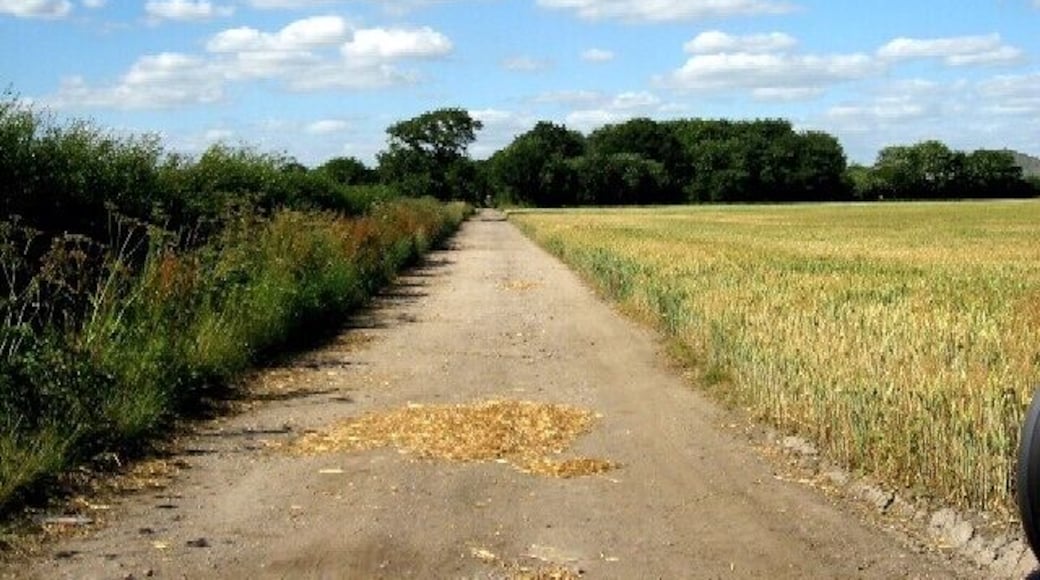 The Unpaved Track to the A163. There is no obvious reason for the track to be unpaved