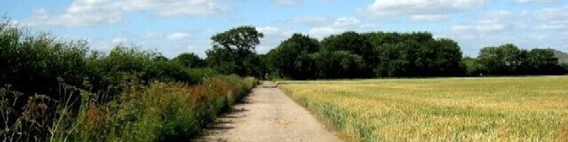 The Unpaved Track to the A163. There is no obvious reason for the track to be unpaved