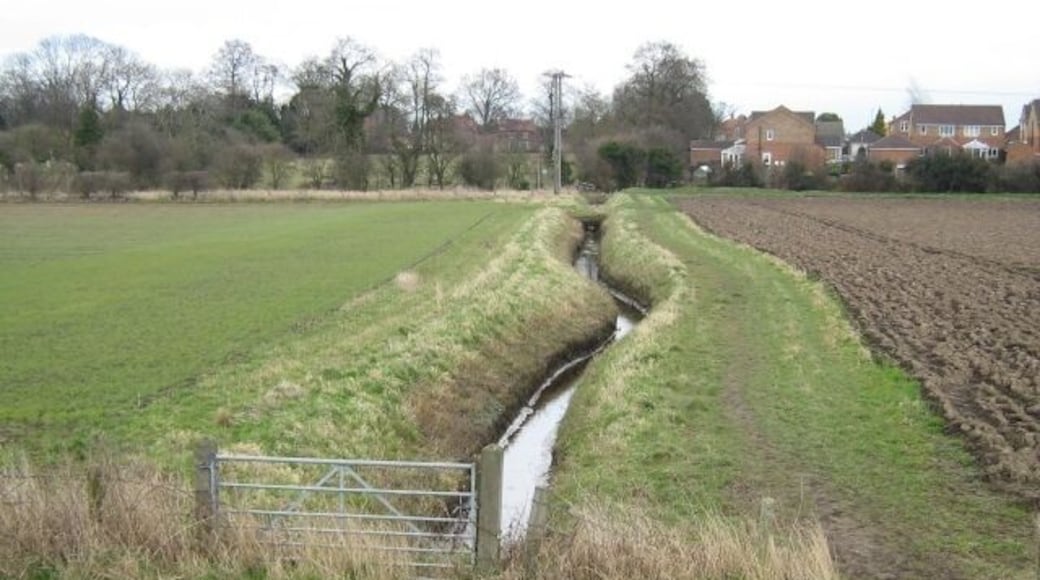 Bendy clough Draining land at Barlby Hilltop
