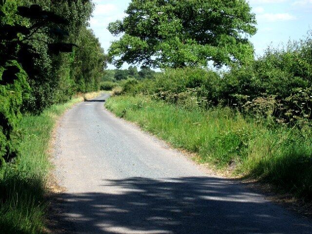 The Lane to Commonside Farm.