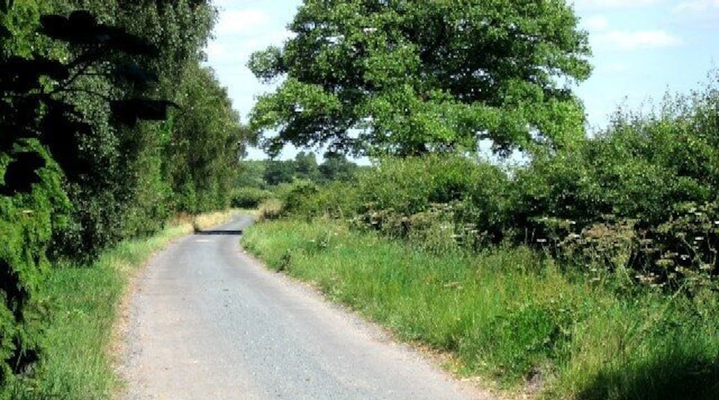 The Lane to Commonside Farm.