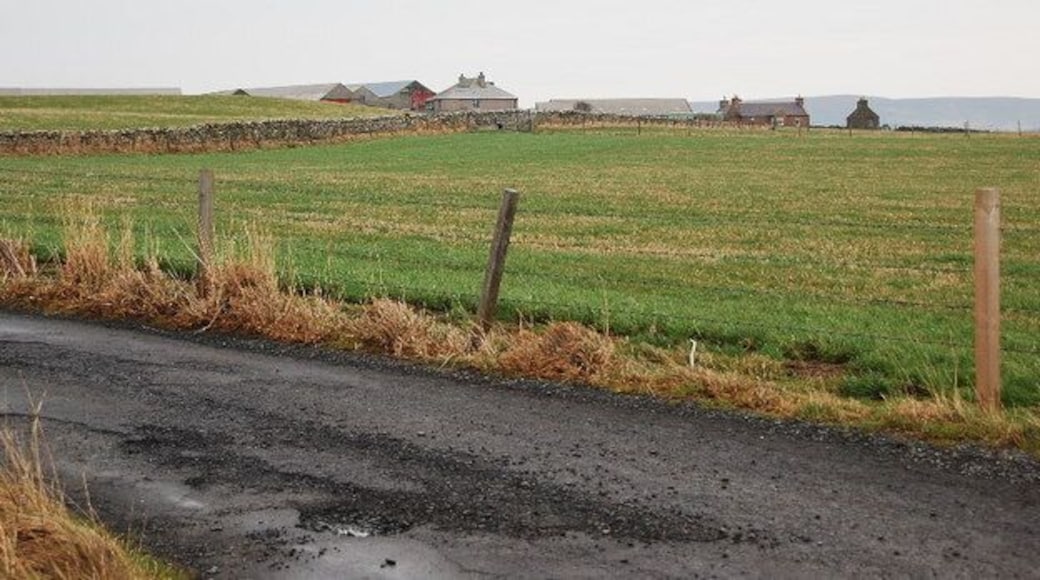 Farmland near Kirkness Looking eastwards towards the farm over a field of stubble.