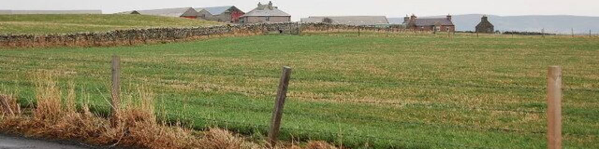 Farmland near Kirkness Looking eastwards towards the farm over a field of stubble.