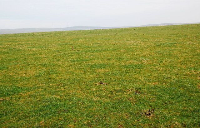 Pasture near Bankhead Looking NE over gently rising land. The three masts of the nearby transmitting station can be seen in the distance.
