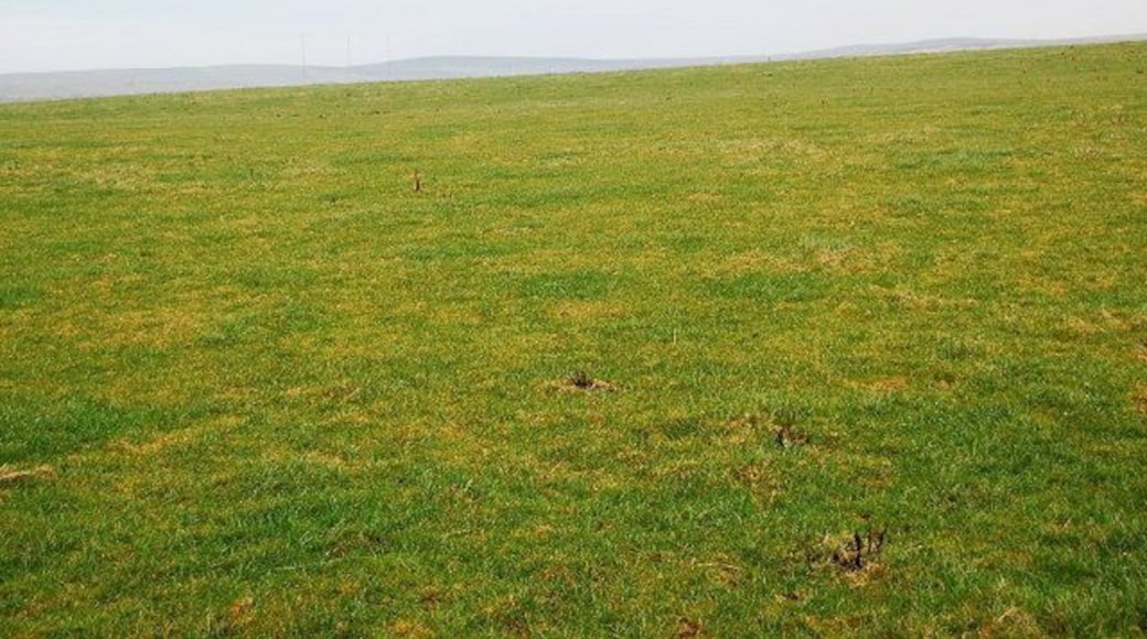 Pasture near Bankhead Looking NE over gently rising land. The three masts of the nearby transmitting station can be seen in the distance.