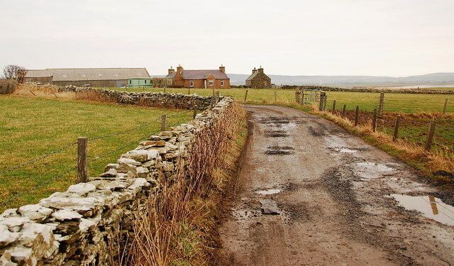 Track to Kirkness Rough track, with the buildings at Kirkness beyond.
