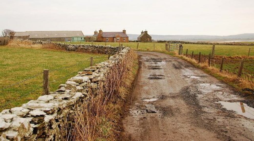 Track to Kirkness Rough track, with the buildings at Kirkness beyond.