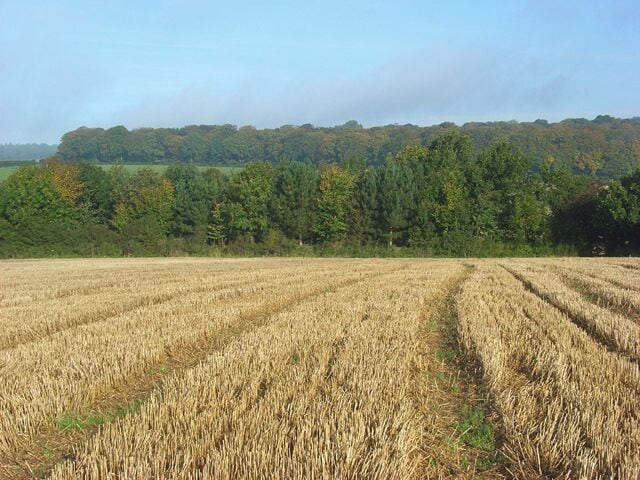 Farmland, Stokenchurch The view towards Stockfield Wood from beside the footpath northwest of the village centre. The trees in the foreground occupy a small triangular area between the arable field and pasture below.