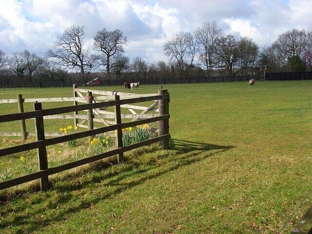 Pasture, Stokenchurch Beside the entrance to Studdridge Farm. The trees are beside Ibstone Road.
