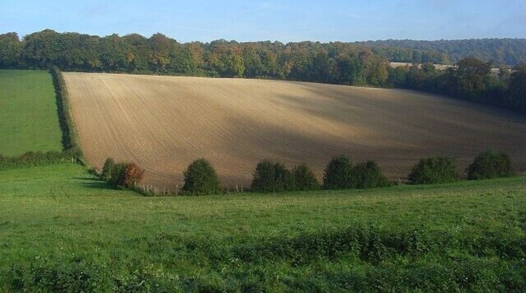 Arable field and pasture, Stokenchurch Looking down from a public footpath and across a valley to Stockfield Wood.