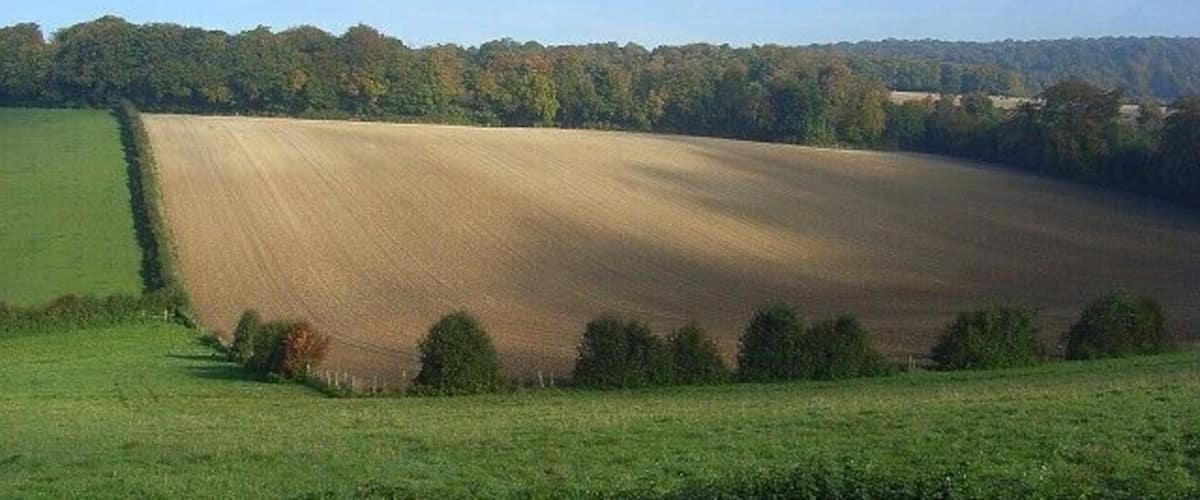 Arable field and pasture, Stokenchurch Looking down from a public footpath and across a valley to Stockfield Wood.