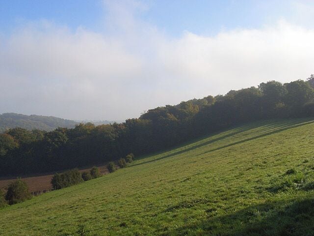 Pasture, Stokenchurch The hillside on the northern flank of the dry valley north of the village.