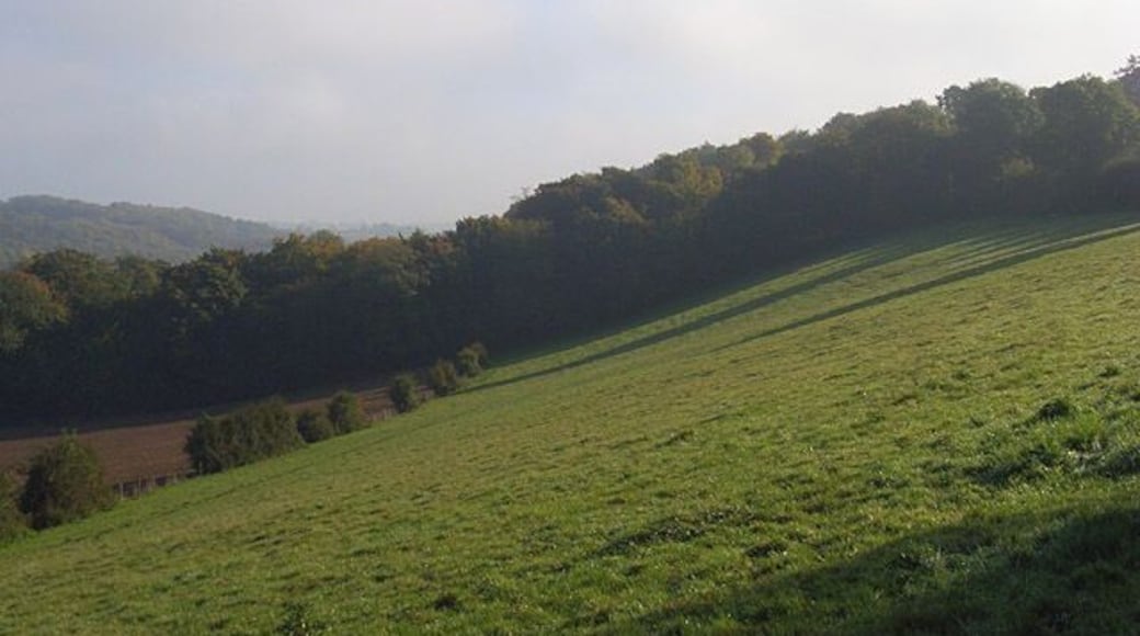 Pasture, Stokenchurch The hillside on the northern flank of the dry valley north of the village.