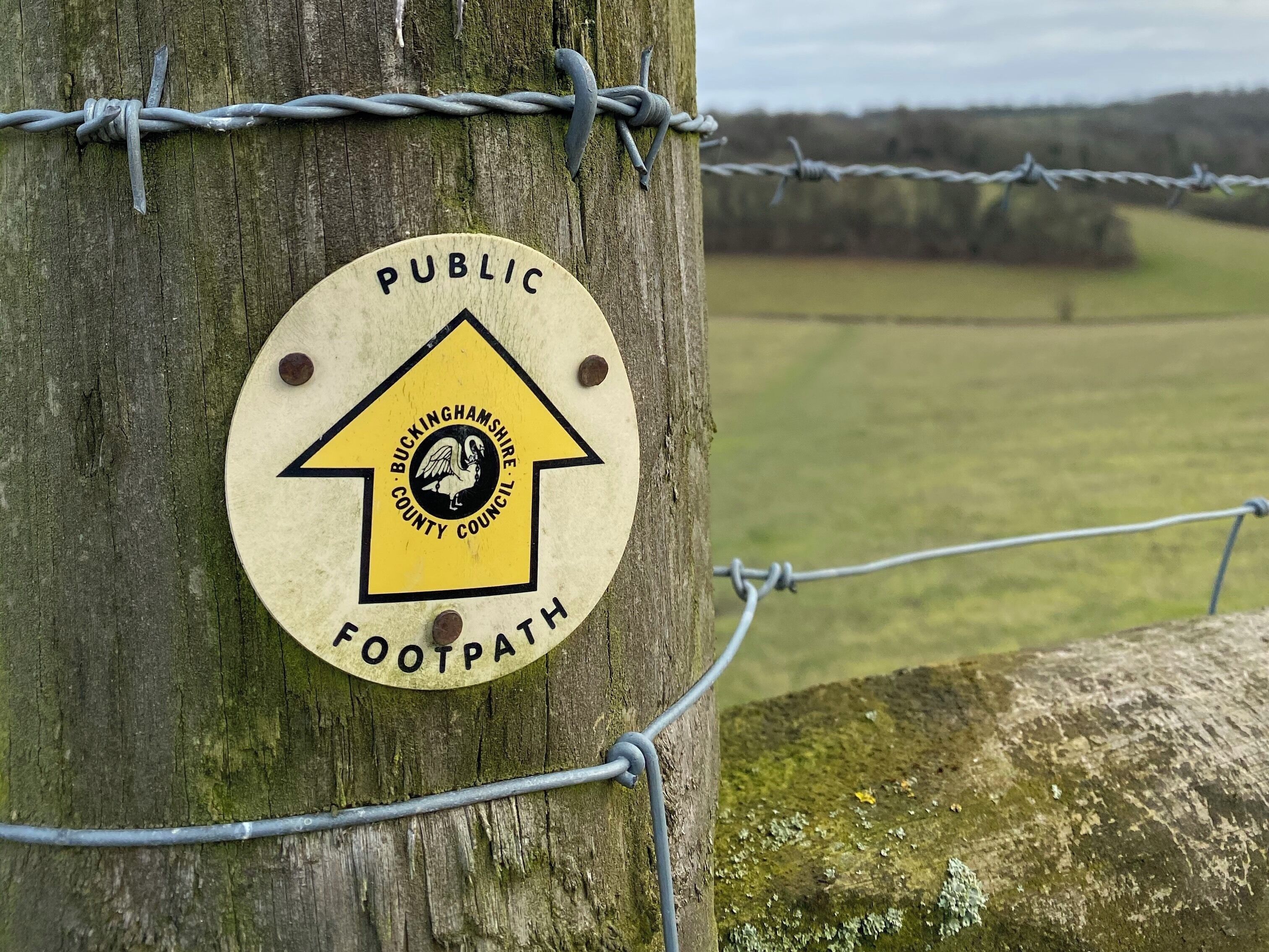 A public footpath sign on a tree with barbed wire.