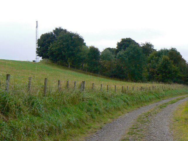 Mast by the copse A communications mast on a small hill near Den Cottages.
