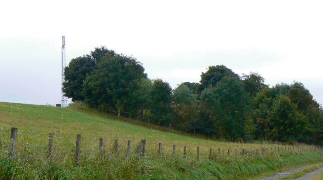 Mast by the copse A communications mast on a small hill near Den Cottages.