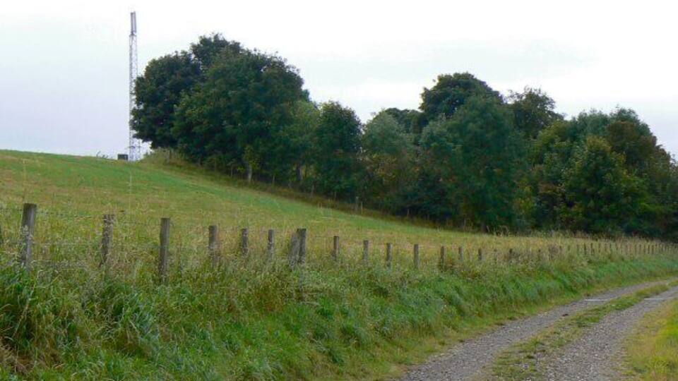 A rural dirt road flanked by wooden fences and green grass, leading towards a forested hill.