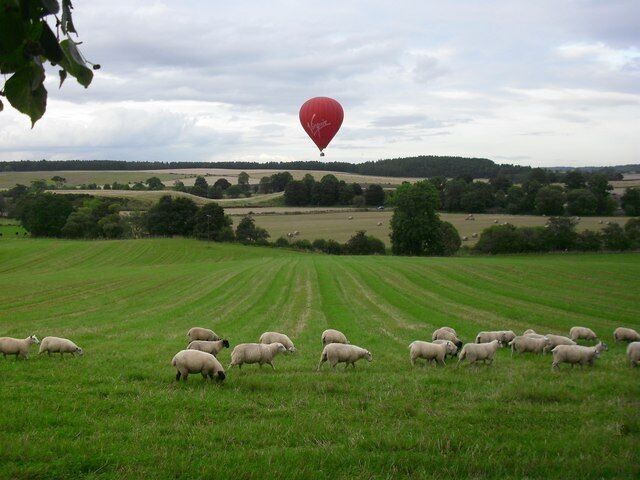 Looking North from Tophead Looking down onto the Ordie Burn with the Pictish Knolls in the centre. The Five mile Wood is in the distance.