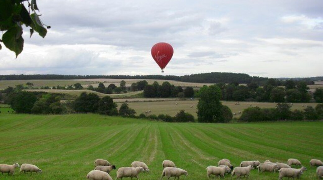 Looking North from Tophead Looking down onto the Ordie Burn with the Pictish Knolls in the centre. The Five mile Wood is in the distance.