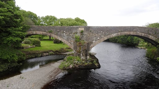 Ardstinchar Bridge across the River Stinchar in Ballantrae. This old bridge was built in 1770 from the stones of the ruined Ardstinchar Castle, which is just above the bridge on the hillside. It was abandoned in 1964.
#InStone
#River