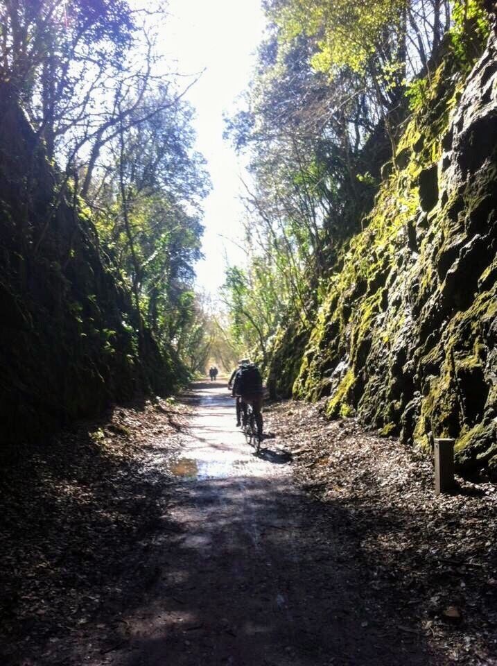 The strawberry Line - from Yatton to Cheddar. We stayed in a lovely cottage with this line at the back. We were near the long tunnel. You can walk or cycle the whole line #takeahike